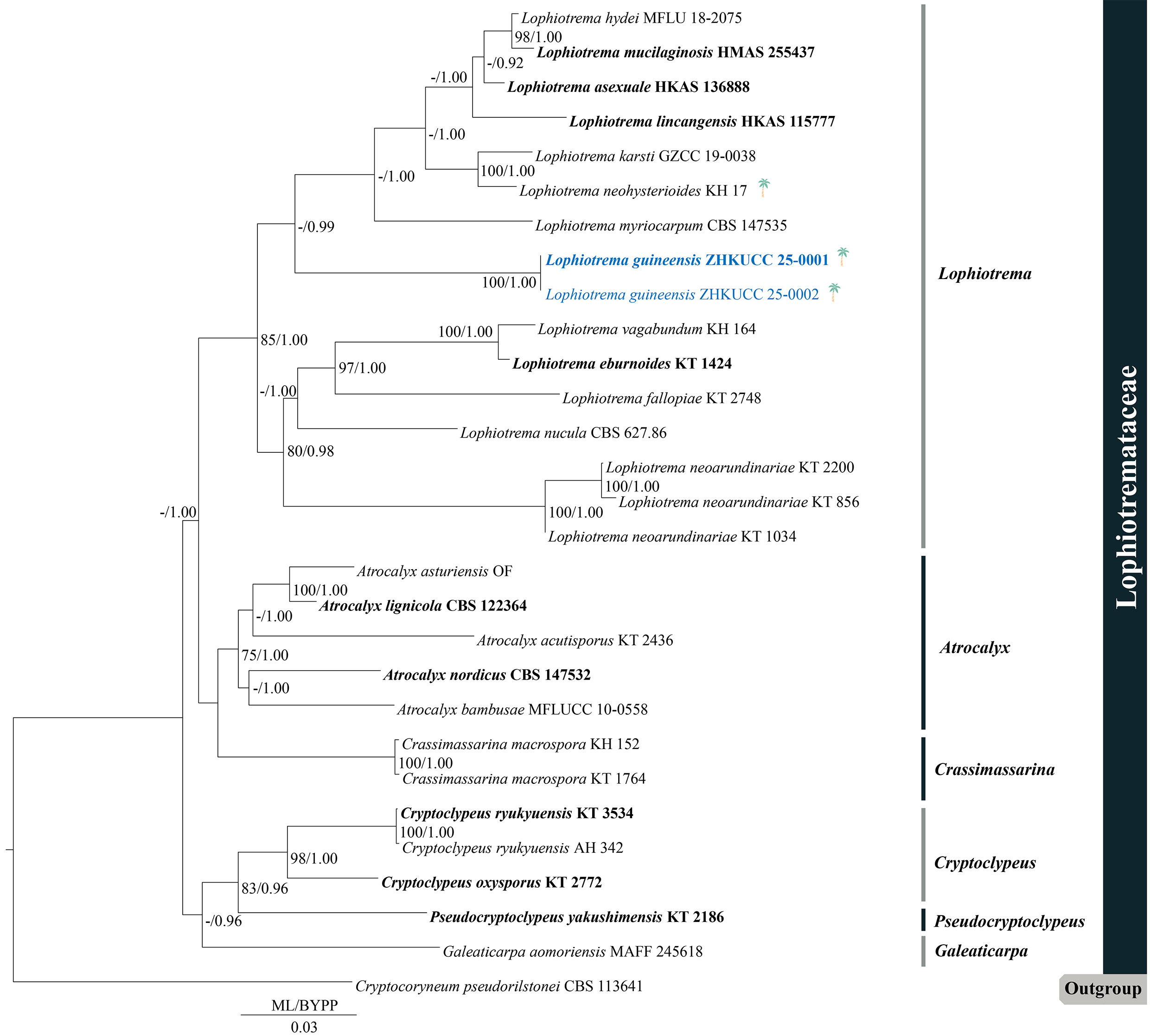 Figure 31